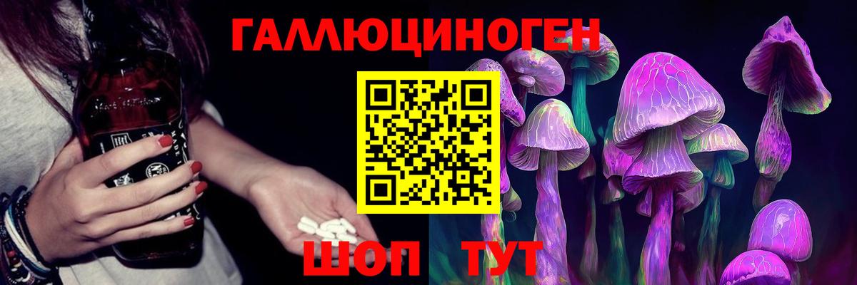 Зеленогорск  Галлюциногенные грибы MAGIC MUSHROOMS  Вход с VPN 